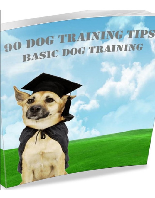 90 Dog Training Tips